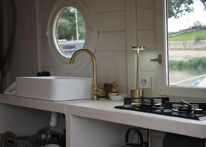 Tekne Bateau Traditionnel De Loire Face Au Chateau D'angers *